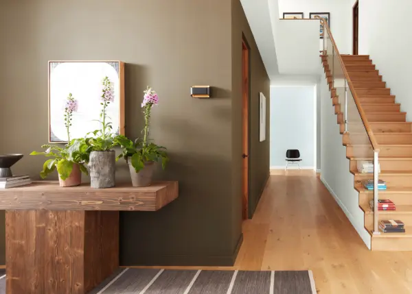 interior paints eastlands